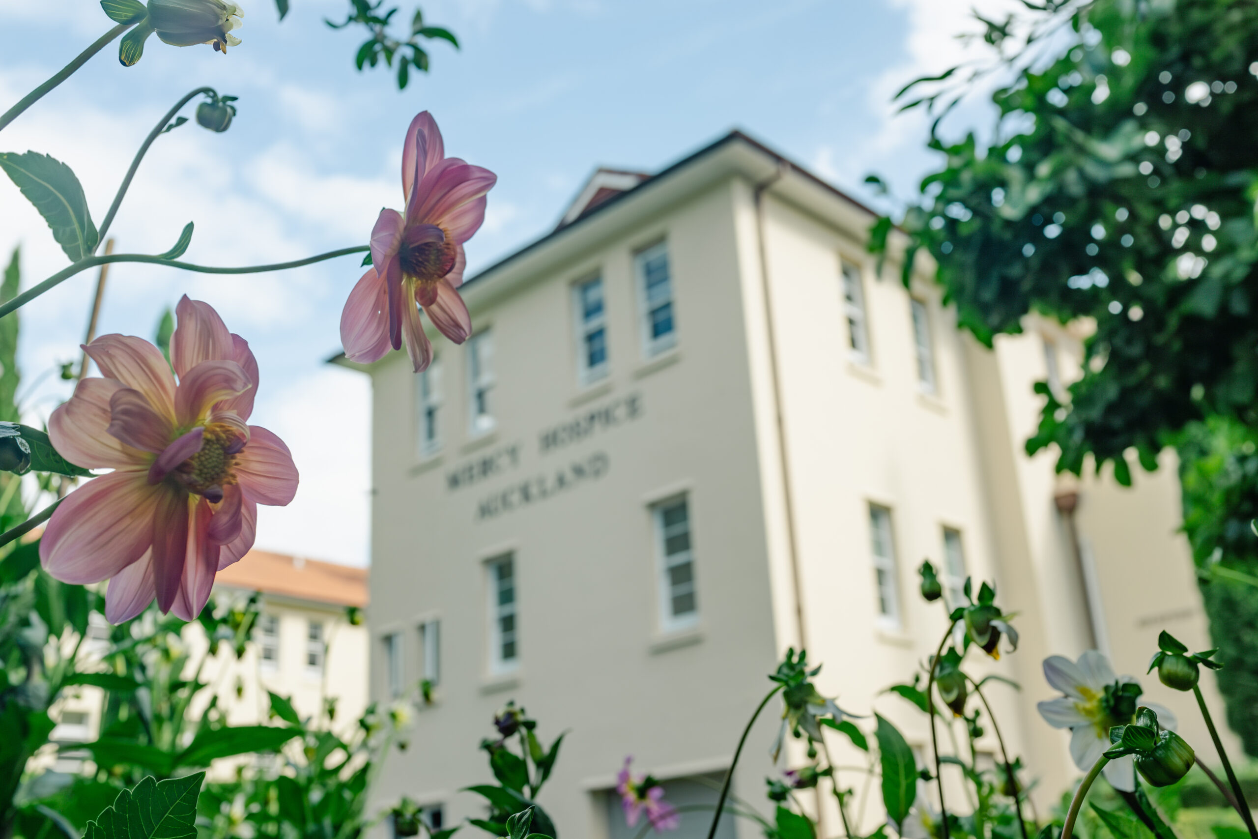 Image of mercy hospice grounds